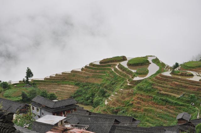 Guilin_Terrassen