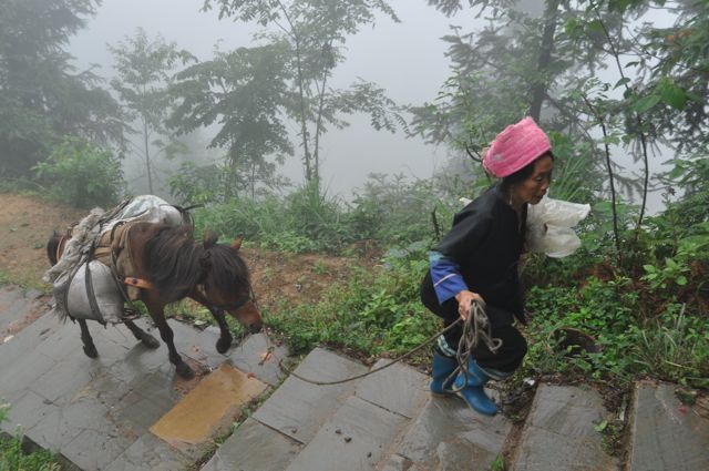 Guilin_Terrassen_Pferd_1